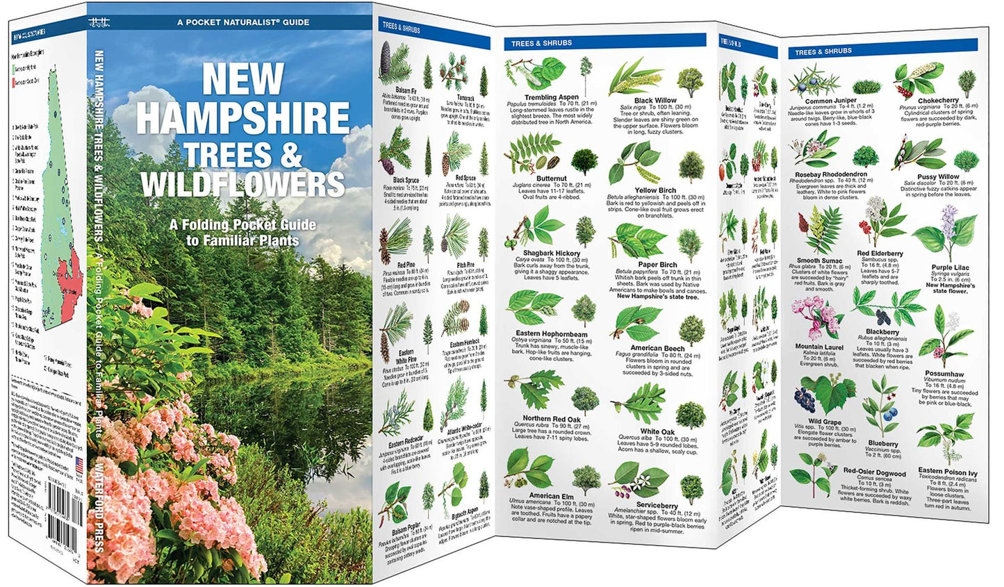 New Hampshire Trees & Wildflowers: An Introduction to Familiar Species