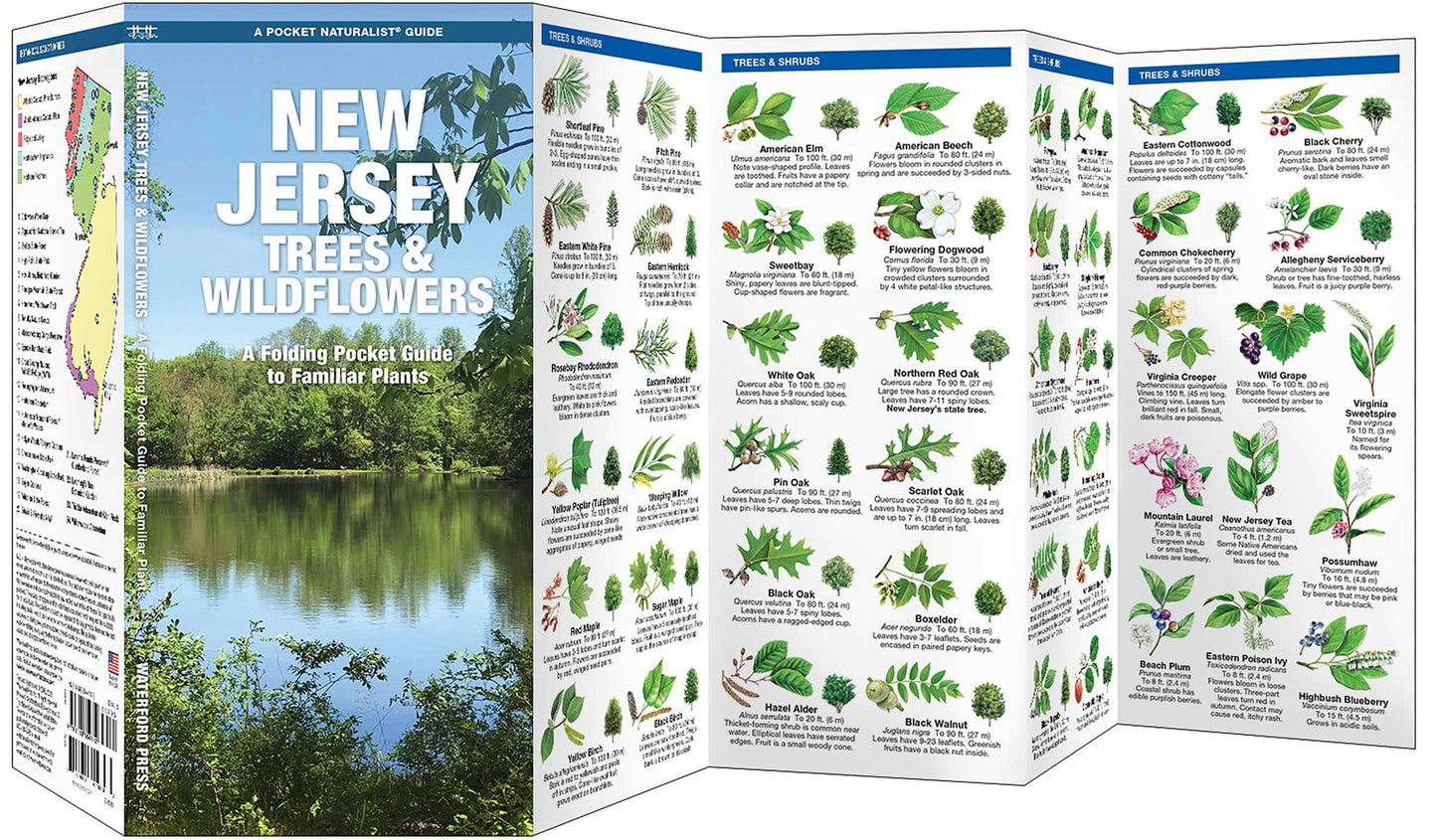 New Jersey Trees and Wildflowers: An Introduction to Familiar Species (Pocket Naturalist - Waterford Press Series)
