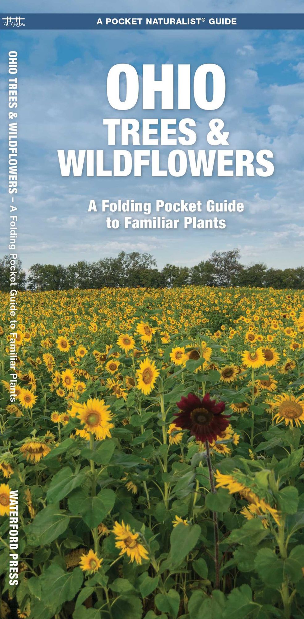 Ohio Trees and Wildflowers: An Introduction to Familiar Species (Pocket Naturalist - Waterford Press)