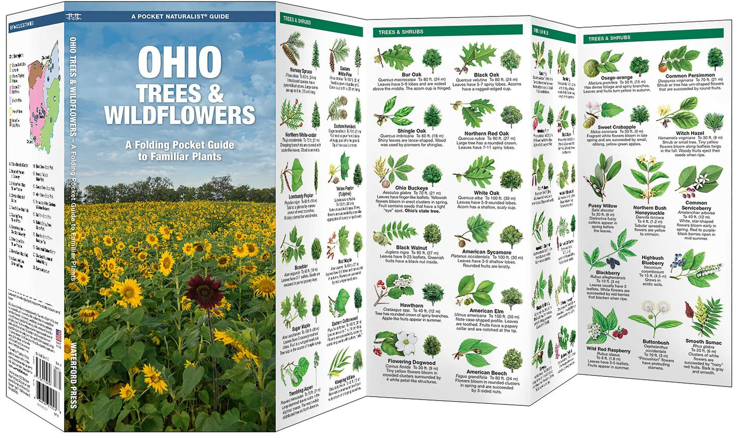 Ohio Trees and Wildflowers: An Introduction to Familiar Species (Pocket Naturalist - Waterford Press)