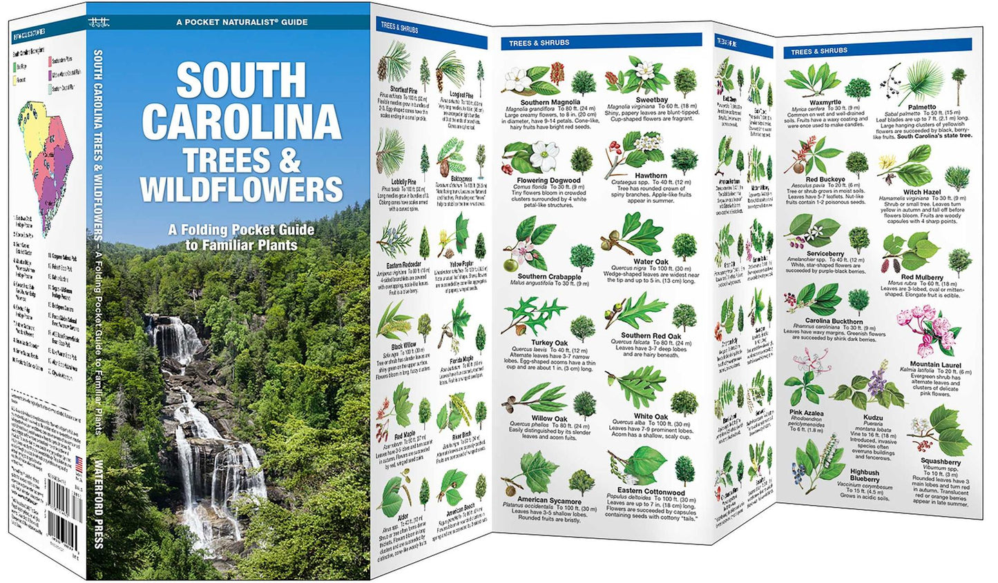 South Carolina Trees and Wildflowers: An Introduction to Familiar Species (Pocket Naturalist - Waterford Press)