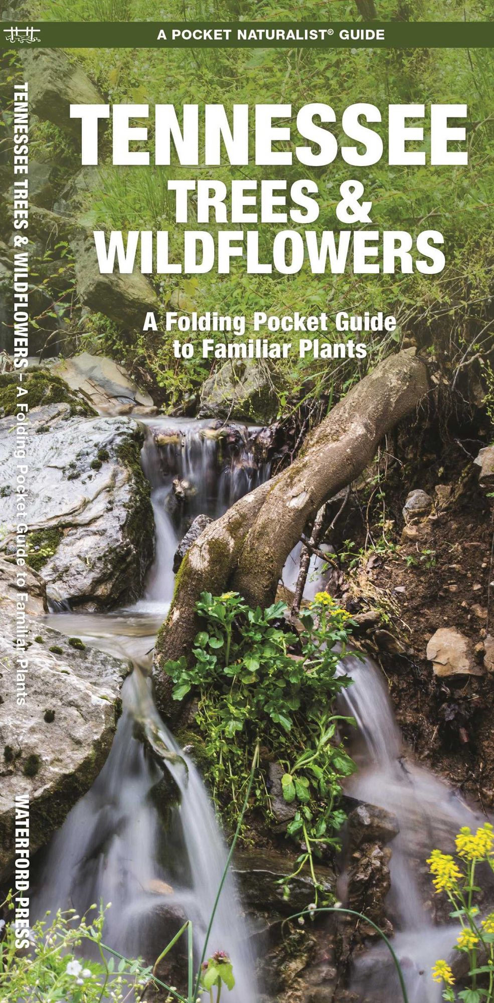 Tennessee Trees & Wildflowers: An Introduction to Familiar Species
