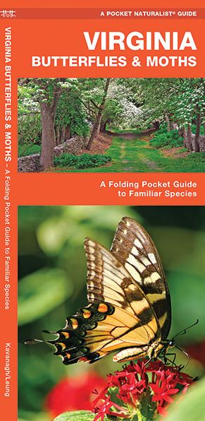 Virginia Butterflies and Moths: An Introduction to Familiar Species (Pocket Naturalist - Waterford Press)