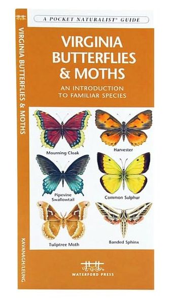 Virginia Butterflies and Moths: An Introduction to Familiar Species (Pocket Naturalist - Waterford Press)