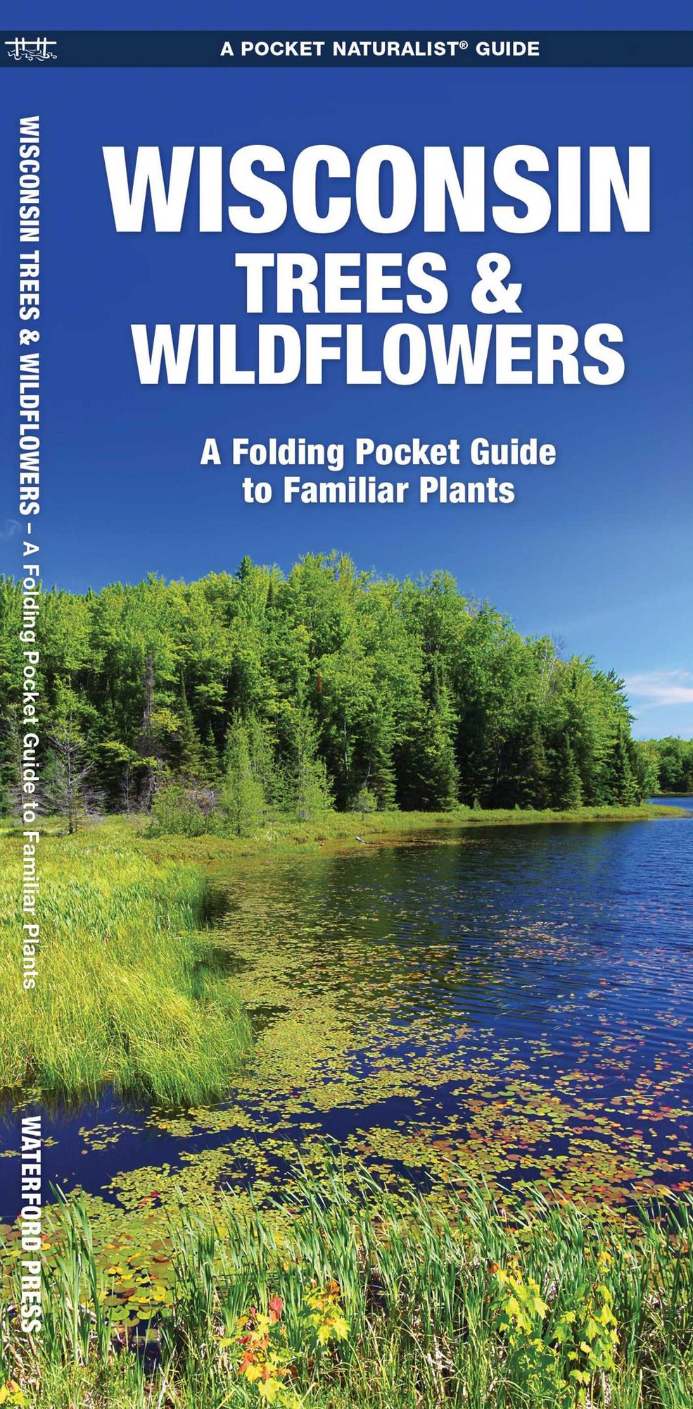 Wisconsin Trees & Wildflowers: An Introduction to Familiar Species