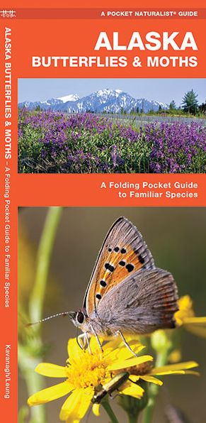 Alaska Butterflies and Moths: An Introduction to Familiar Species (Pocket Naturalist Series)