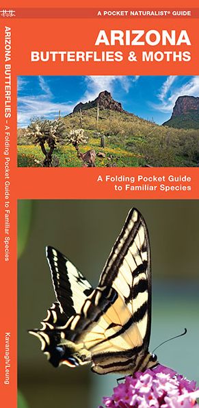 Arizona Butterflies and Moths: An Introduction to Familiar Species (Pocket Naturalist Series)