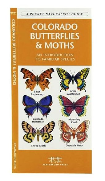 Colorado Butterflies and Moths: An Introduction to Familiar Species (Pocket Naturalist Series)
