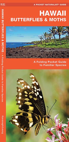 Hawaii Butterflies and Moths: An Introduction to Familiar Species (Pocket Naturalist Series)