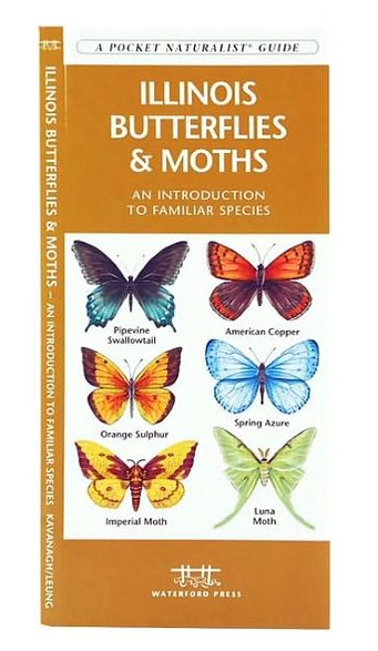 Illinois Butterflies and Moths: An Introduction to Familiar Species (Pocket Naturalist Series)