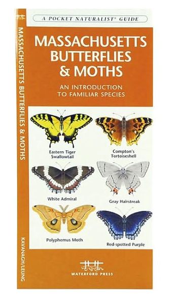 Massachusetts Butterflies and Moths: An Introduction to Familiar Species (Pocket Naturalist Series)
