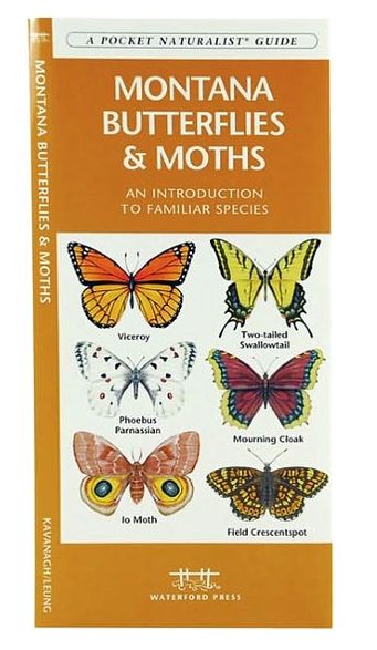 Montana Butterflies and Moths: An Introduction to Familiar Species (Pocket Naturalist Series)