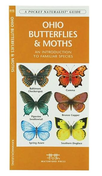 Ohio Butterflies and Moths: An Introduction to Familiar Species (Pocket Naturalist Series)