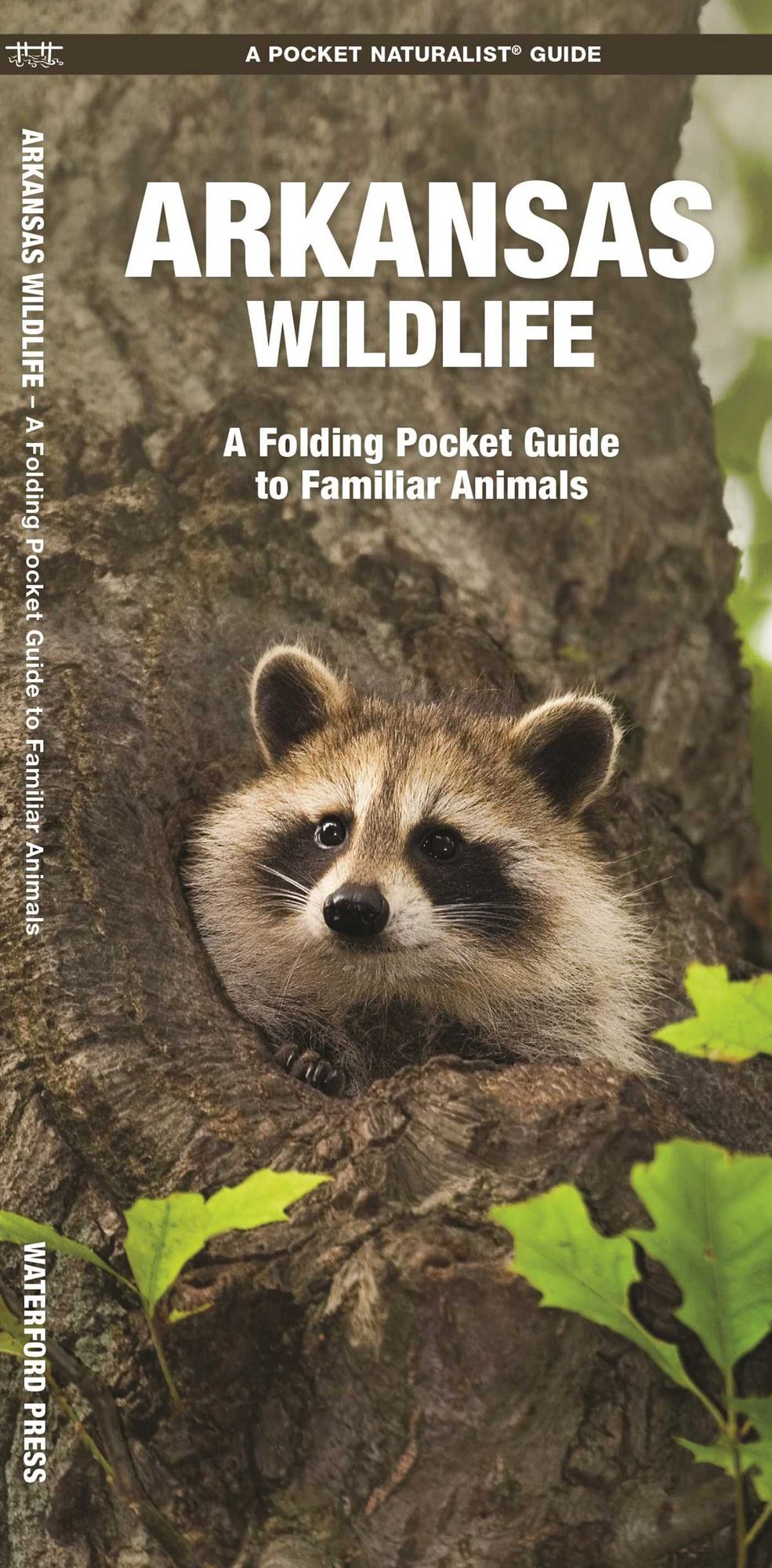 Arkansas Wildlife: An Introduction to Familiar Species