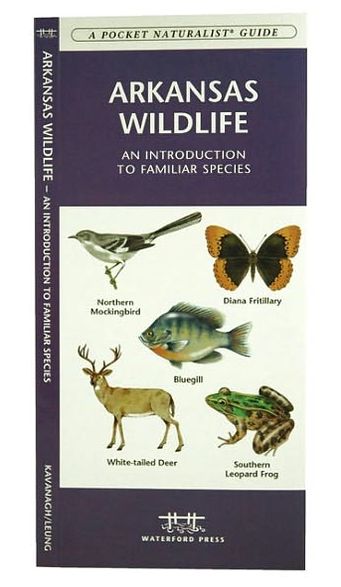 Arkansas Wildlife: An Introduction to Familiar Species