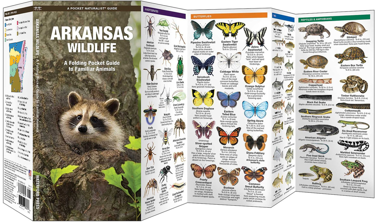 Arkansas Wildlife: An Introduction to Familiar Species
