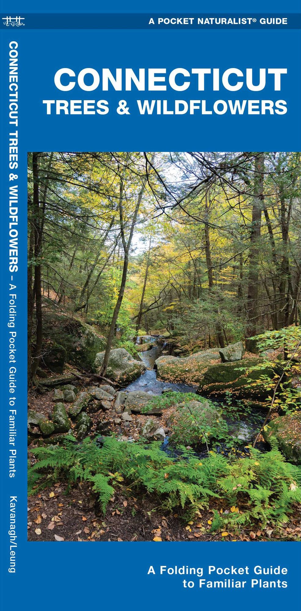 Connecticut Trees and Wildflowers: An Introduction to Familiar Species