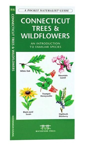 Connecticut Trees and Wildflowers: An Introduction to Familiar Species