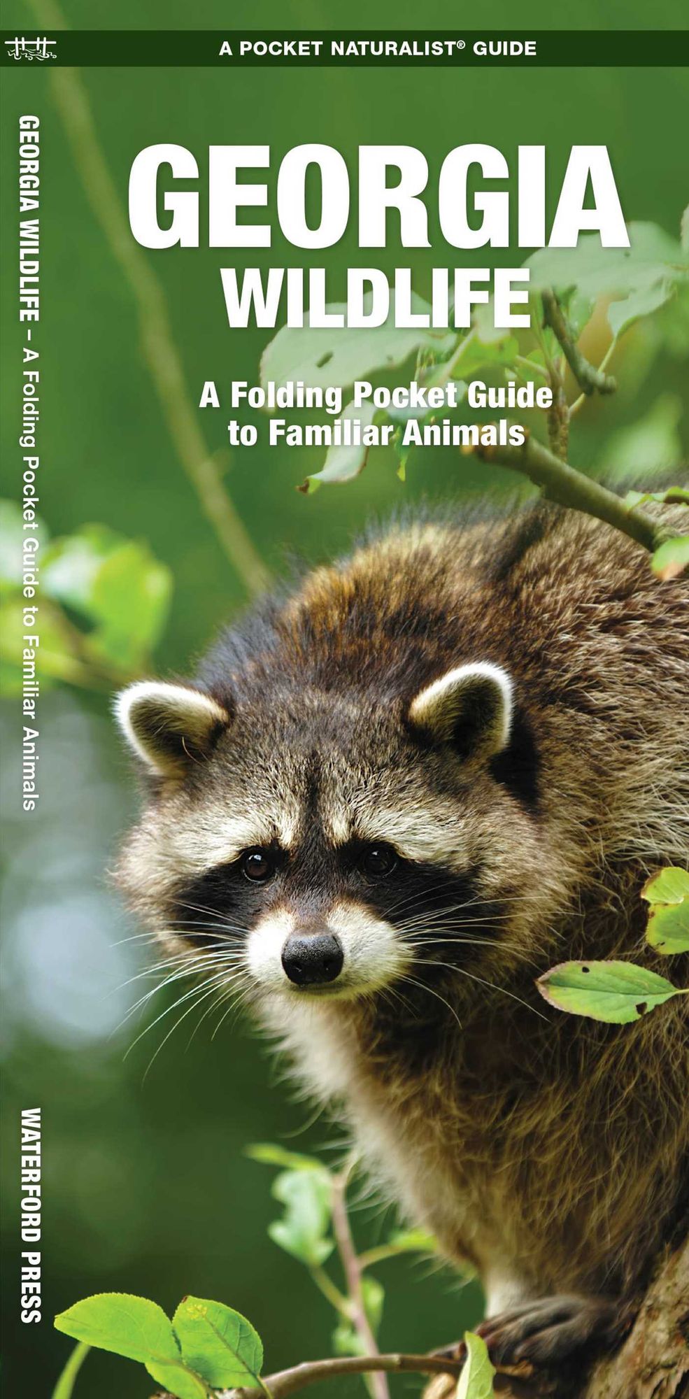 Georgia Wildlife: An Introduction to Familiar Species