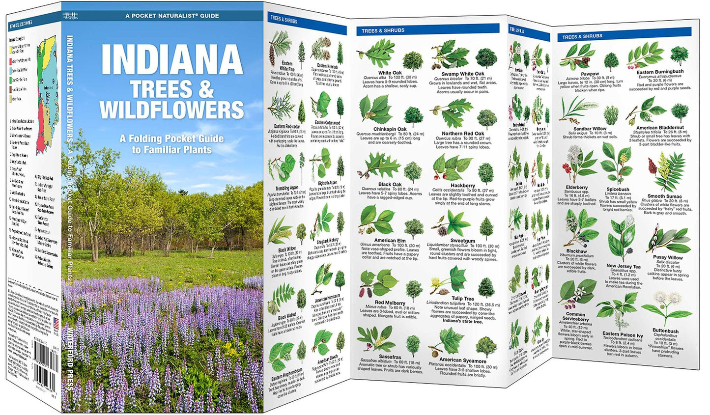 Indiana Trees and Wildflowers: An Introduction to Familiar Species