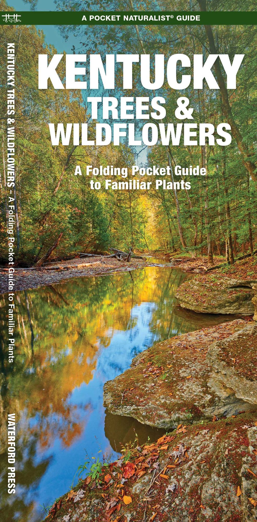 Kentucky Trees and Wildflowers: An Introduction to Familiar Species