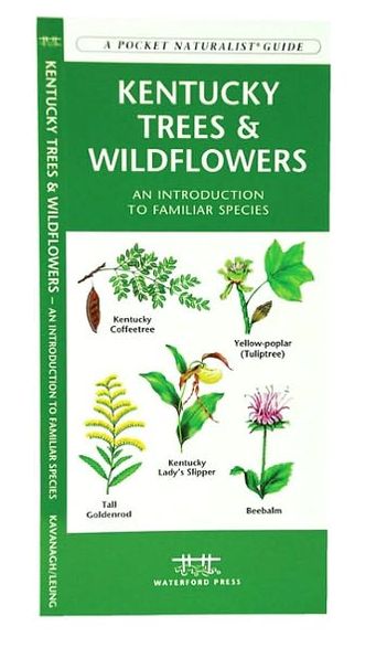 Kentucky Trees and Wildflowers: An Introduction to Familiar Species