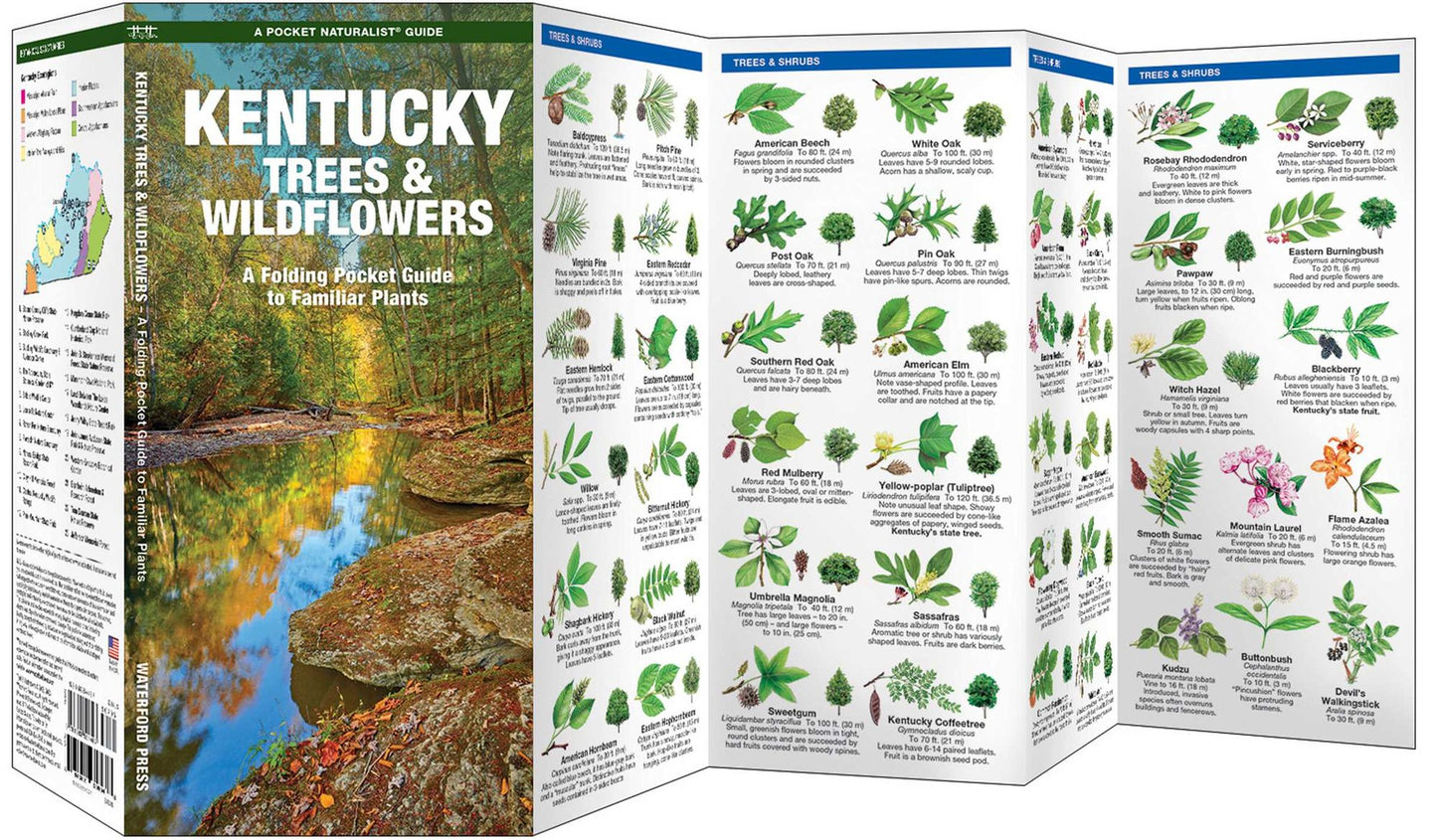 Kentucky Trees and Wildflowers: An Introduction to Familiar Species