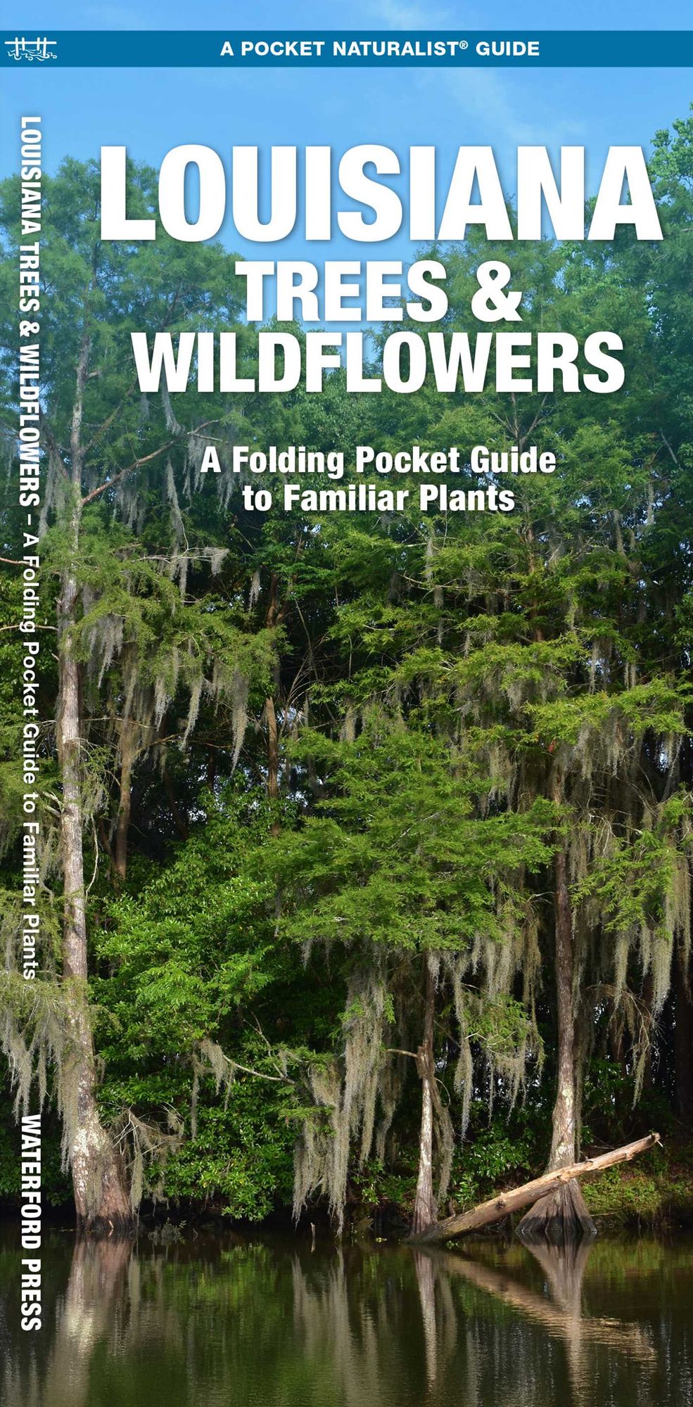 Louisiana Trees and Wildflowers: An Introduction of Familiar Species