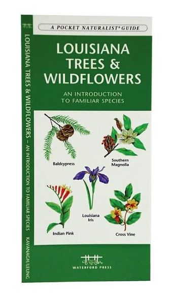 Louisiana Trees and Wildflowers: An Introduction of Familiar Species