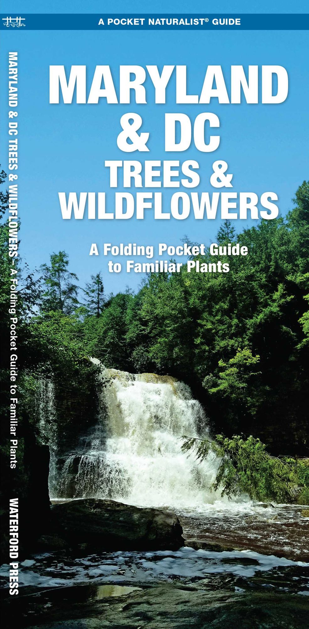 Maryland & DC Trees & Wildflowers: An Introduction to Familiar Species