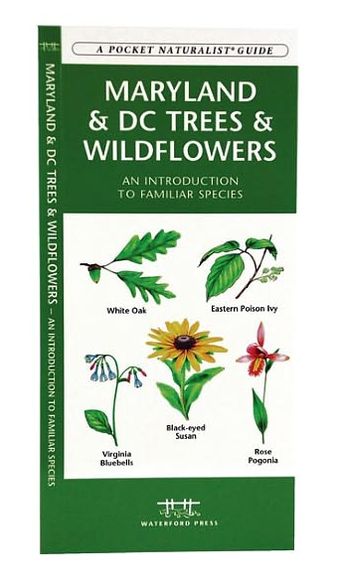Maryland & DC Trees & Wildflowers: An Introduction to Familiar Species