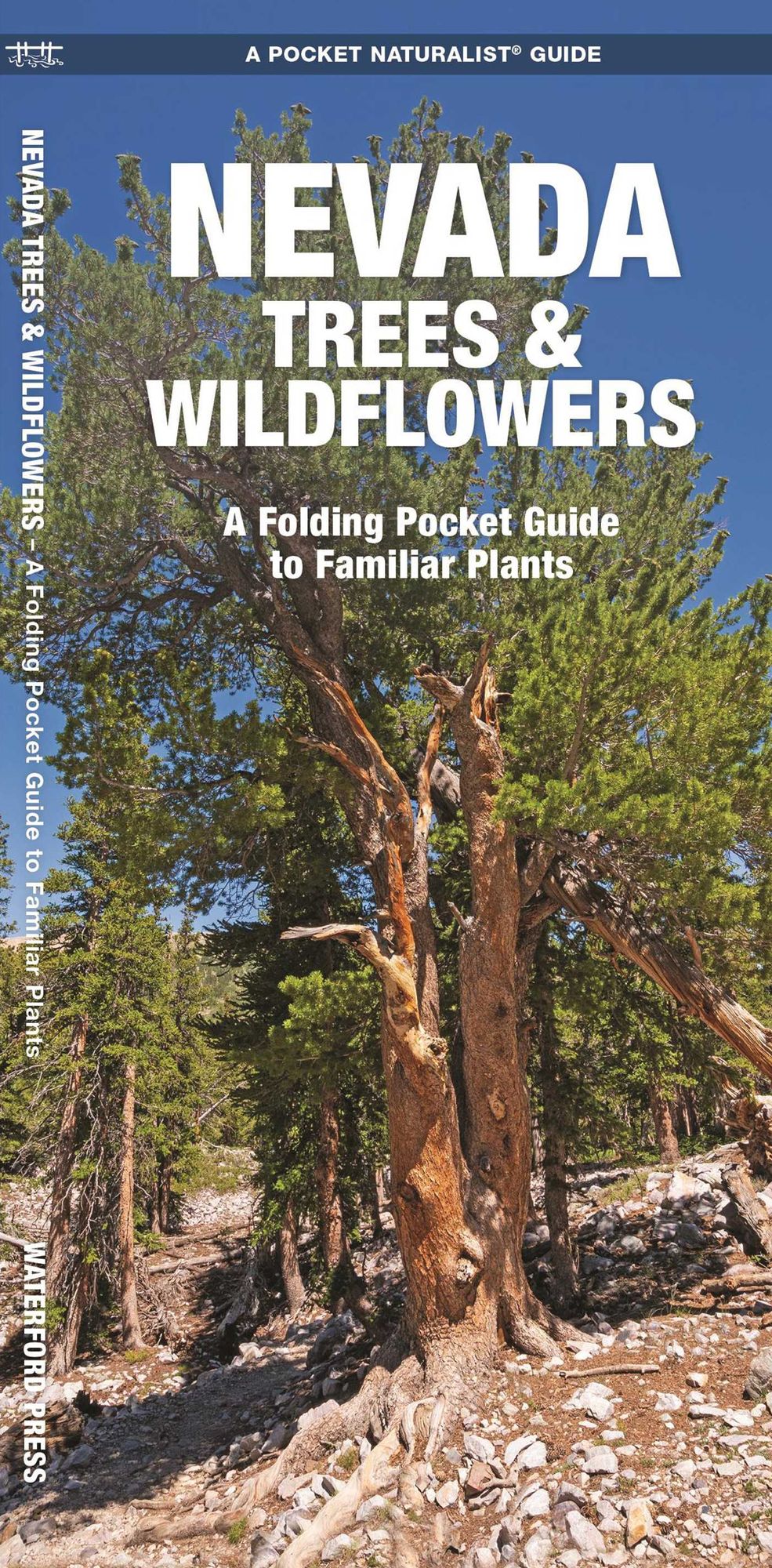 Nevada Trees and Wildflowers: An Introduction to Familiar Species