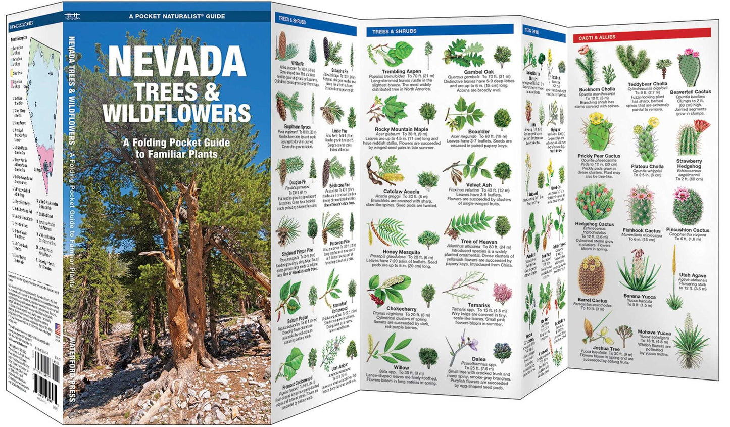 Nevada Trees and Wildflowers: An Introduction to Familiar Species