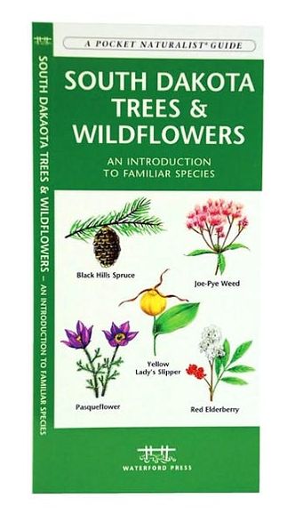 South Dakota Trees and Wildflowers: An Introduction to Familiar Species