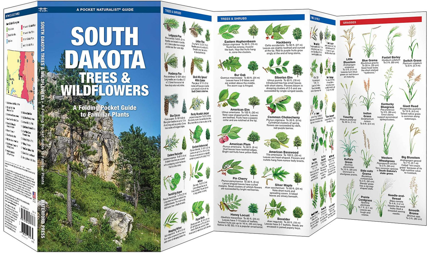 South Dakota Trees and Wildflowers: An Introduction to Familiar Species