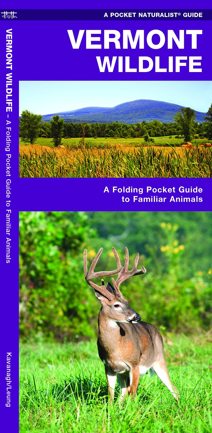 Vermont Wildlife: An Introduction to Familiar Species