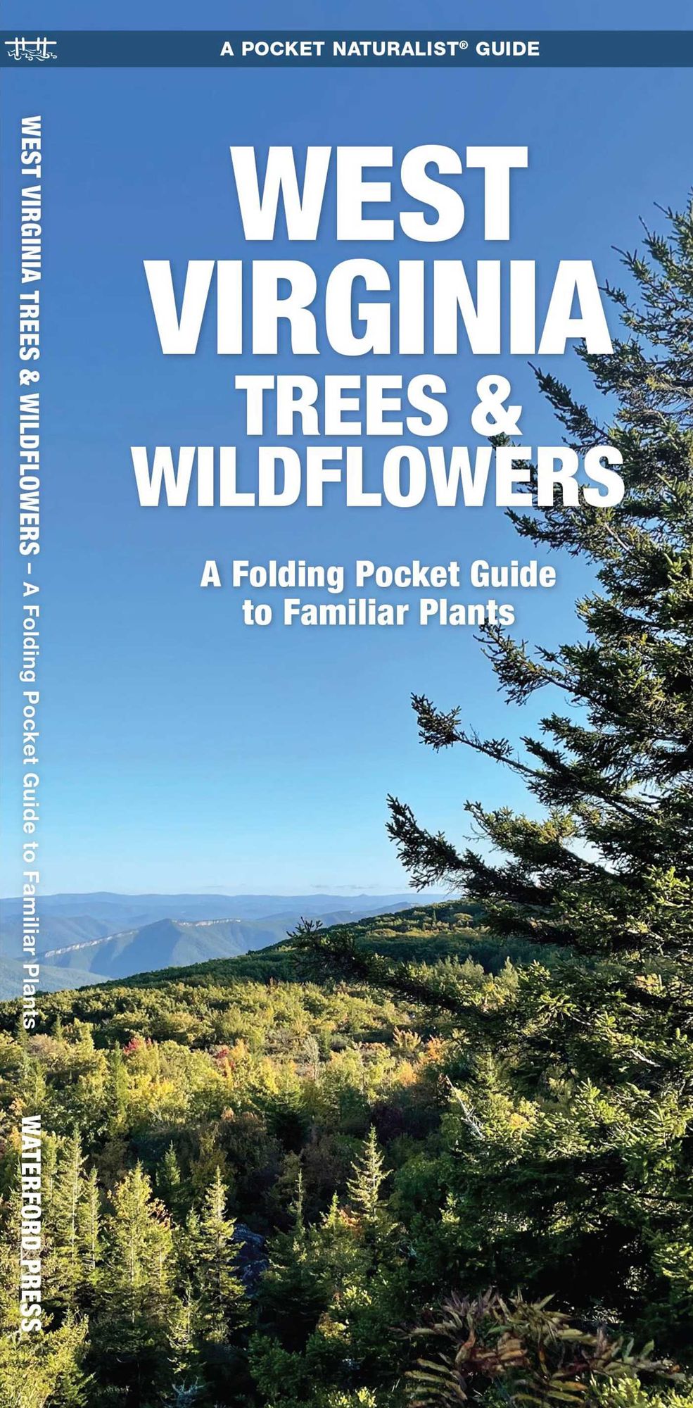 West Virginia Trees and Wildflowers: An Introduction to Familiar Species