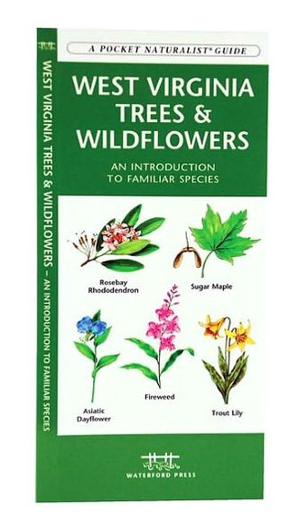 West Virginia Trees and Wildflowers: An Introduction to Familiar Species