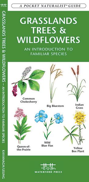 Grasslands Trees and Wildflowers: An Introduction to Familiar Species Found in Prairie Grasslands