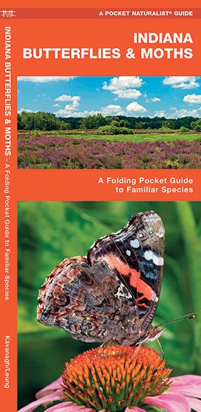 Indiana Butterflies and Moths: An Introduction to Familiar Species