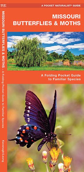 Missouri Butterflies and Moths: An Introduction to Familiar Species