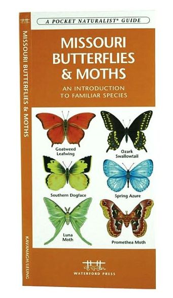 Missouri Butterflies and Moths: An Introduction to Familiar Species