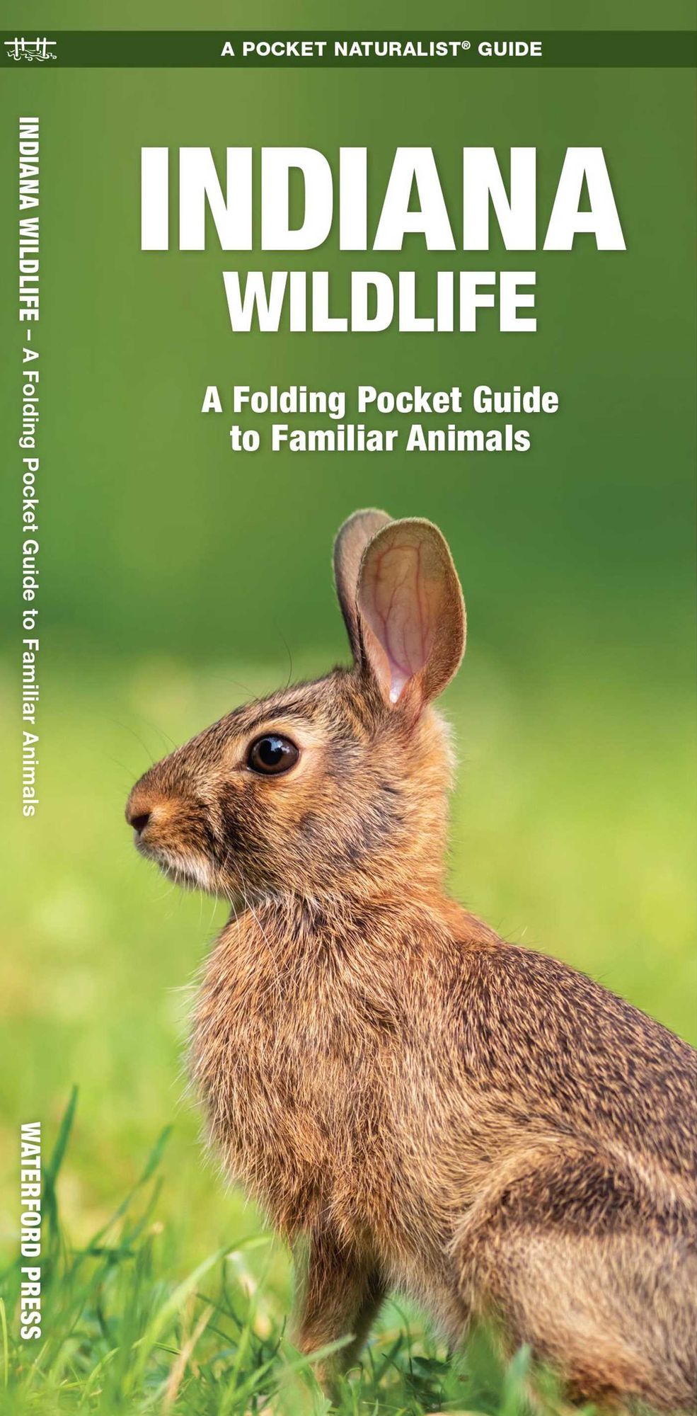 Indiana Wildlife: An Introduction to Familiar Species
