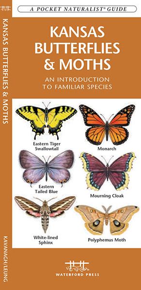 Kansas Butterflies and Moths: An Introduction to Familiar Species