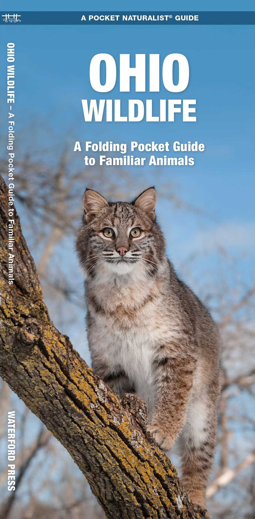 Ohio Wildlife: An Introduction to Familiar Species