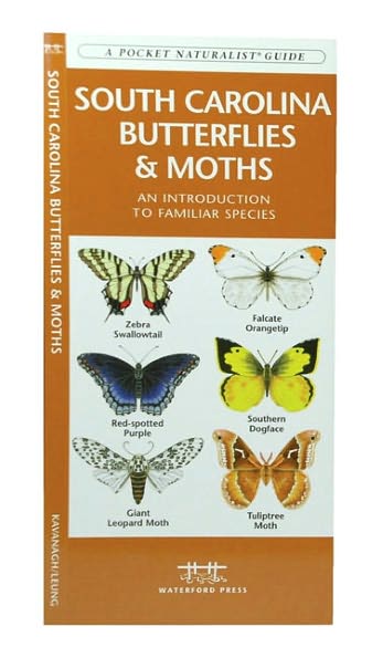 South Carolina Butterflies and Moths: An Introduction to Familiar Species