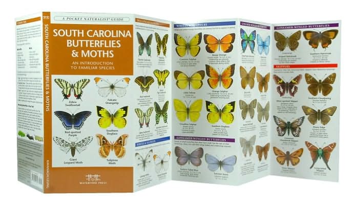 South Carolina Butterflies and Moths: An Introduction to Familiar Species