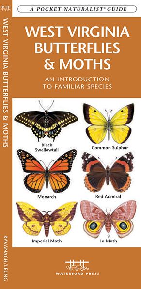 West Virginia Butterflies and Moths: An Introduction to Familiar Species