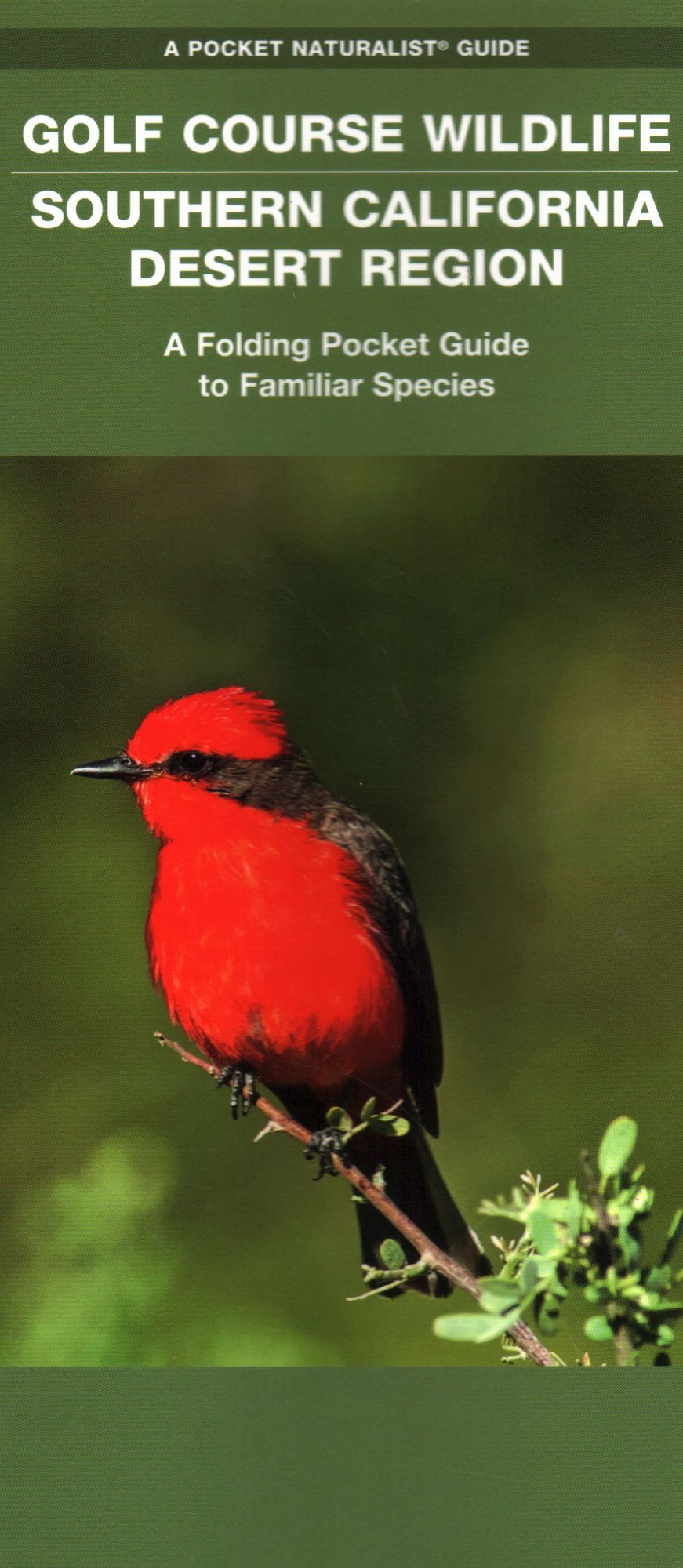 Pocket Guide to Golf Course Wildlife of the Southern California Desert: An Introduction to Familiar Species