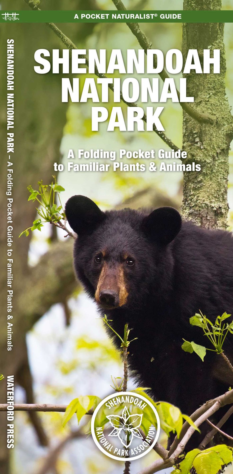 Shenandoah National Park: An Introduction to Familiar Plants & Animals